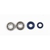 Set pentru recondiționarea arborelui cotit SKF ATHENA P400130444005