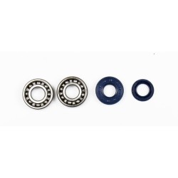 Set pentru recondiționarea arborelui cotit SKF ATHENA P400130444005