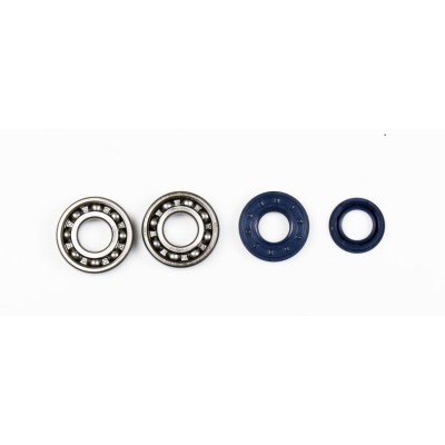 Set de recondiționare arbore cotit SKF ATHENA P400130444001