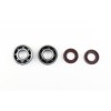 Set de recondiționare arbore cotit SKF ATHENA P400105444050