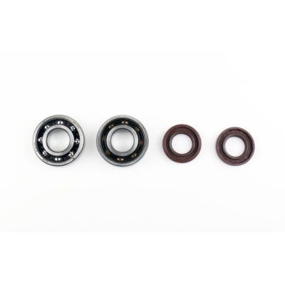 Set de recondiționare arbore cotit SKF ATHENA P400105444050