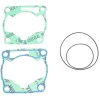 Set garnituri de curse ATHENA R4856-089