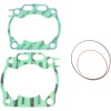 Set garnituri de curse ATHENA R4856-267