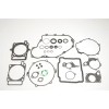 Set garnituri cu etanșări de ulei ATHENA P400220900263