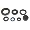 Set de semeringuri pentru motor ATHENA P400485400254 Set de semeringuri pentru motor ATHENA P400485400254 thumb