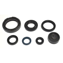 Set de semeringuri pentru motor ATHENA P400485400254 Set de semeringuri pentru motor ATHENA P400485400254