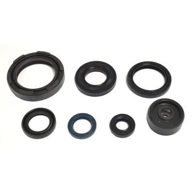 Set de semeringuri pentru motor ATHENA P400485400254