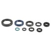 Set de semeringuri pentru motor ATHENA P400210400126 Set de semeringuri pentru motor ATHENA P400210400126 thumb