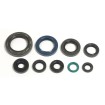 Set de semeringuri pentru motor ATHENA P400210400126 Set de semeringuri pentru motor ATHENA P400210400126 thumb