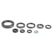 Set de semeringuri pentru motor ATHENA P400210400250 Set de semeringuri pentru motor ATHENA P400210400250 thumb
