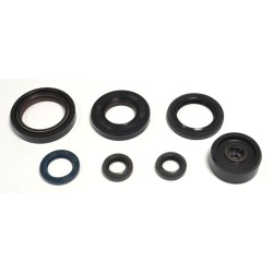 Set de semeringuri pentru motor ATHENA P400485400125