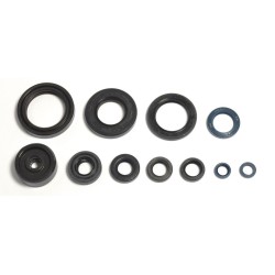 Set de semeringuri pentru motor ATHENA P400485400115/1