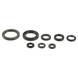 Set de semeringuri pentru motor ATHENA P400210400202 Set de semeringuri pentru motor ATHENA P400210400202