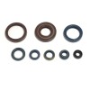 Set de semeringuri pentru motor ATHENA P400220400128