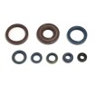 Set de semeringuri pentru motor ATHENA P400220400128 Set de semeringuri pentru motor ATHENA P400220400128 thumb