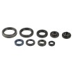 Set de semeringuri pentru motor ATHENA P400510400140 Set de semeringuri pentru motor ATHENA P400510400140 thumb