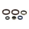 Set de semeringuri pentru motor ATHENA P400270400015