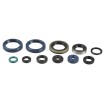 Set de semeringuri pentru motor ATHENA P400250400016 Set de semeringuri pentru motor ATHENA P400250400016 thumb