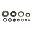 Set de semeringuri pentru motor ATHENA P400250400256 Set de semeringuri pentru motor ATHENA P400250400256 thumb