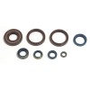 Set de semeringuri pentru motor ATHENA P400220400252