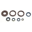 Set de semeringuri pentru motor ATHENA P400220400252 Set de semeringuri pentru motor ATHENA P400220400252 thumb