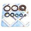 Set de semeringuri pentru motor ATHENA P400220400252 Set de semeringuri pentru motor ATHENA P400220400252 thumb