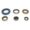Set de semeringuri pentru motor ATHENA P400270400047