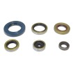 Set de semeringuri pentru motor ATHENA P400270400047 Set de semeringuri pentru motor ATHENA P400270400047 thumb