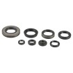 Set de semeringuri pentru motor ATHENA P400510400035 Set de semeringuri pentru motor ATHENA P400510400035 thumb