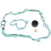 Set garnituri pentru pompă de apă ATHENA P400485470001 Set garnituri pentru pompă de apă ATHENA P400485470001 thumb