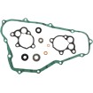 Set garnituri pentru pompă de apă ATHENA P400210475012 Set garnituri pentru pompă de apă ATHENA P400210475012 thumb
