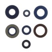Simering motor AP/YA ATHENA P400130400204/1 Simering motor AP/YA ATHENA P400130400204/1 thumb
