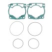 Set garnituri race GG/HV/KT ATHENA R2706-099 Set garnituri race GG/HV/KT ATHENA R2706-099 thumb