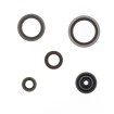 Set de semeringuri pentru motor ATHENA P400060400014 Set de semeringuri pentru motor ATHENA P400060400014 thumb