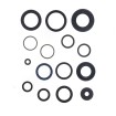 Set de semeringuri pentru motor ATHENA P400485400503 Set de semeringuri pentru motor ATHENA P400485400503 thumb