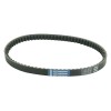 Curea de transmisie standard ATHENA S410000350010