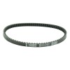 Curea de transmisie PLATINUM ATHENA S41PLAT001
