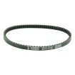 Curea de transmisie PLATINUM ATHENA S41PLAT001 Curea de transmisie PLATINUM ATHENA S41PLAT001 thumb