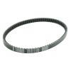 Curea de transmisie PLATINUM ATHENA S41PLAT008