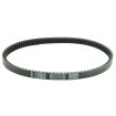 Curea de transmisie PLATINUM ATHENA S41PLAT056 Curea de transmisie PLATINUM ATHENA S41PLAT056 thumb