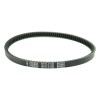 Curea de transmisie PLATINUM ATHENA S41PLAT055