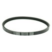Curea de transmisie PLATINUM ATHENA S41PLAT055 Curea de transmisie PLATINUM ATHENA S41PLAT055 thumb
