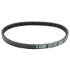 Curea de transmisie PLATINUM ATHENA S41PLAT042