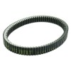 Curea de transmisie PLATINUM ATHENA S41PLAT084