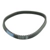 Curea de transmisie standard ATHENA S410000350042