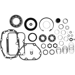 Set de reparație transmisie TRANS REBUILD KT DD6 ALTELE TRK-DD6 Set de reparație transmisie TRANS REBUILD KT DD6 ALTELE TRK-DD6