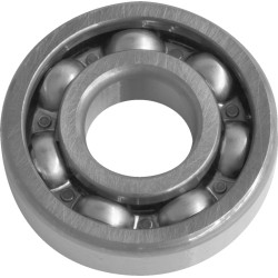 Rulment trans door ALTELE 6304