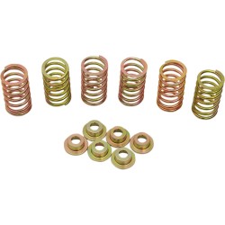 Set de arcuri pentru ambreiaj DUCATI ALTE 505-44-06090