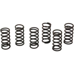 Set de arcuri pentru ambreiaj set de 6 ALTELE 501-58-06121