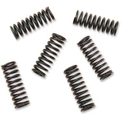 Set de arcuri pentru ambreiaj set de 6 ALTE 501-24-06047